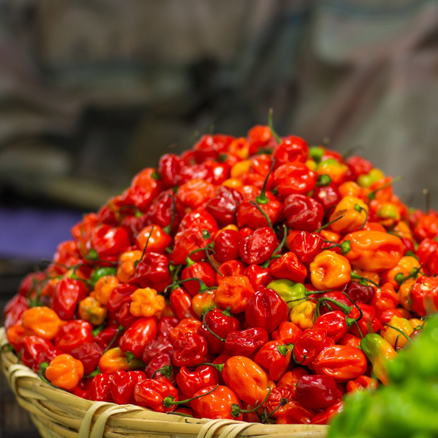 Habanero Olive Oil